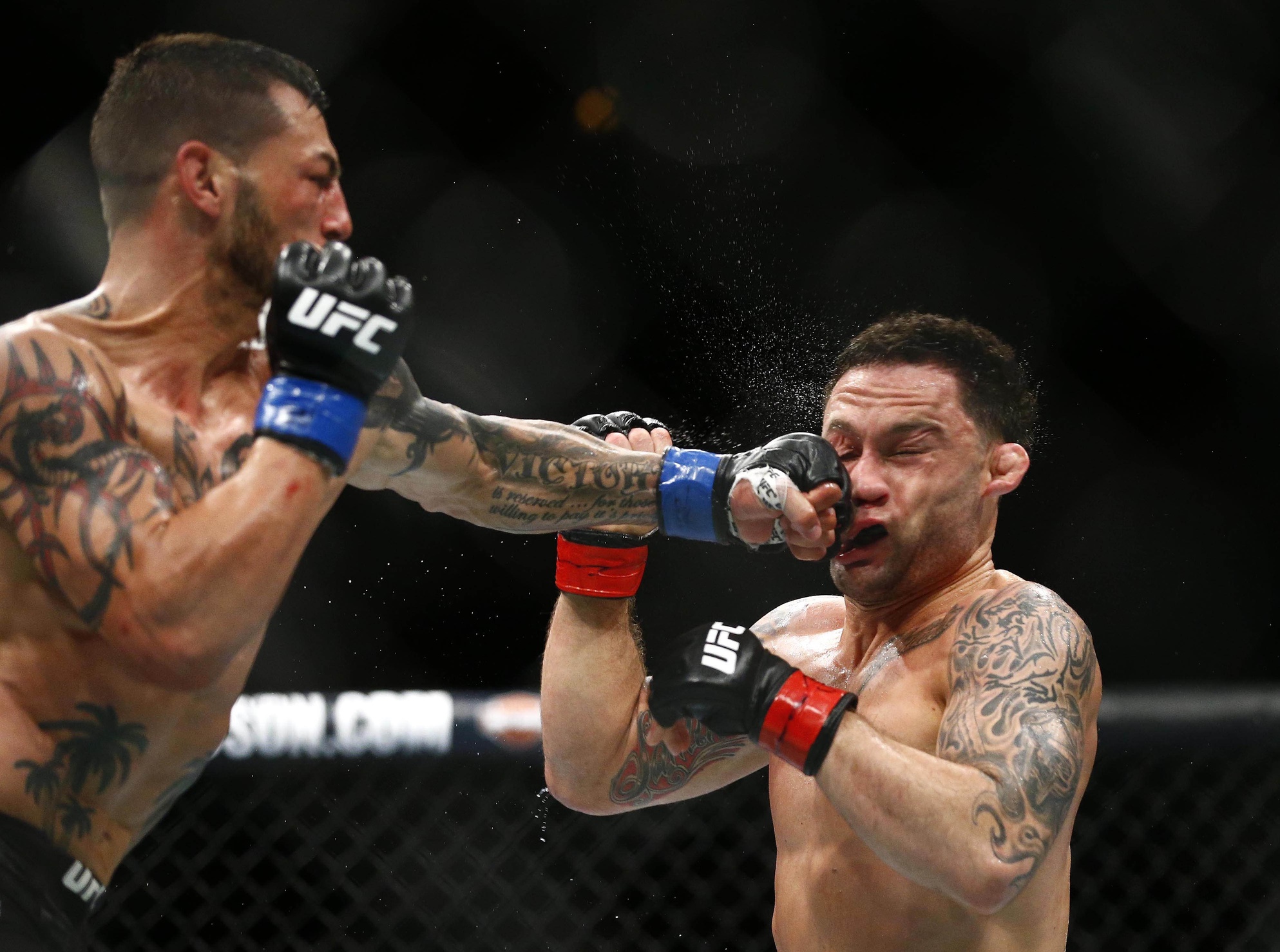 frankie edgar cub swanson