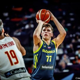 Doncic Article
