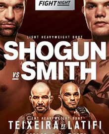 220px-UFC_Fight_Night_134_Poster