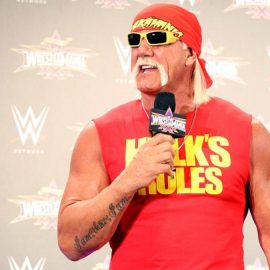 Hulk Hogan pic