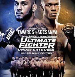 The_Ultimate_Fighter_27_Finale_poster