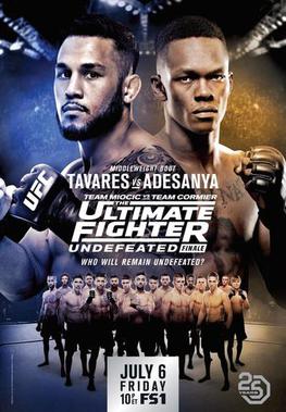 The_Ultimate_Fighter_27_Finale_poster