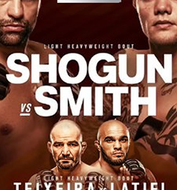 UFC_Fight_Night_134_Poster