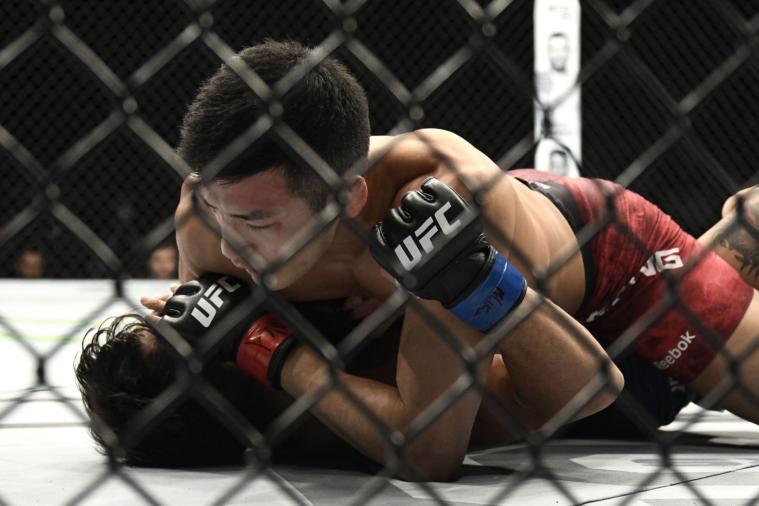 MMA: UFC Fight Night-St. Louis-Kang vs Cannetti