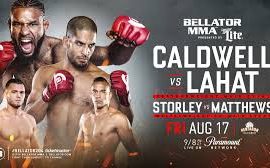 bellator 204