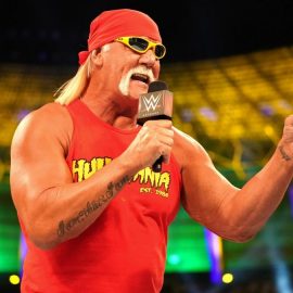 hulk hogan