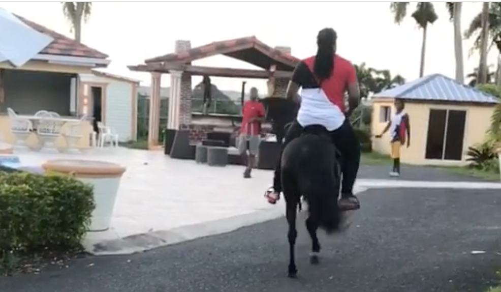 Johnny Cueto parading around on a pony is highly entertaining (Video) - The  Sports Daily