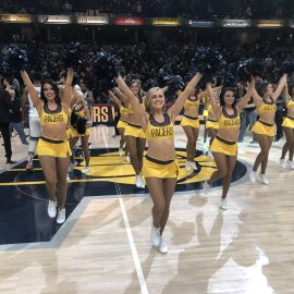 Pacemates6