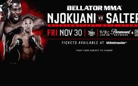 bellator 210