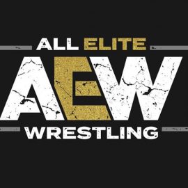 all elite wrestling