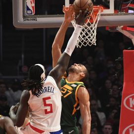 rudy gobert