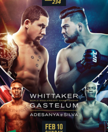 UFC 234 poster