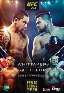 UFC 234 poster