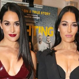 the bella twins