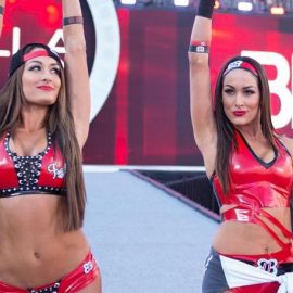 the bella twins