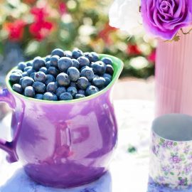 blueberries-864628_1920