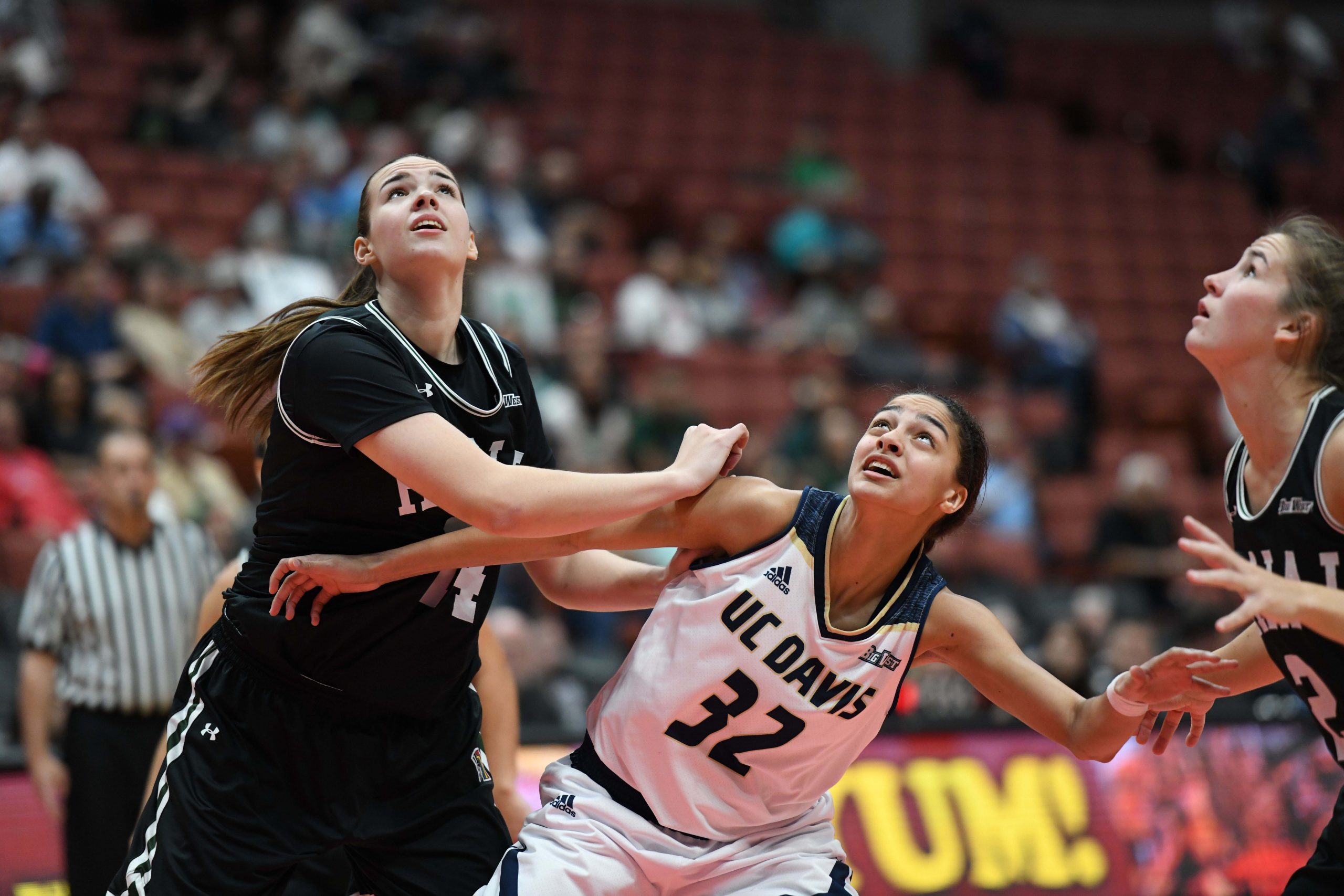 NCAA Womens Basketball: Big West Conference Championship-Final-UC Davis vs Hawaii
