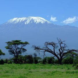 kilimanjaro-1025146_1920