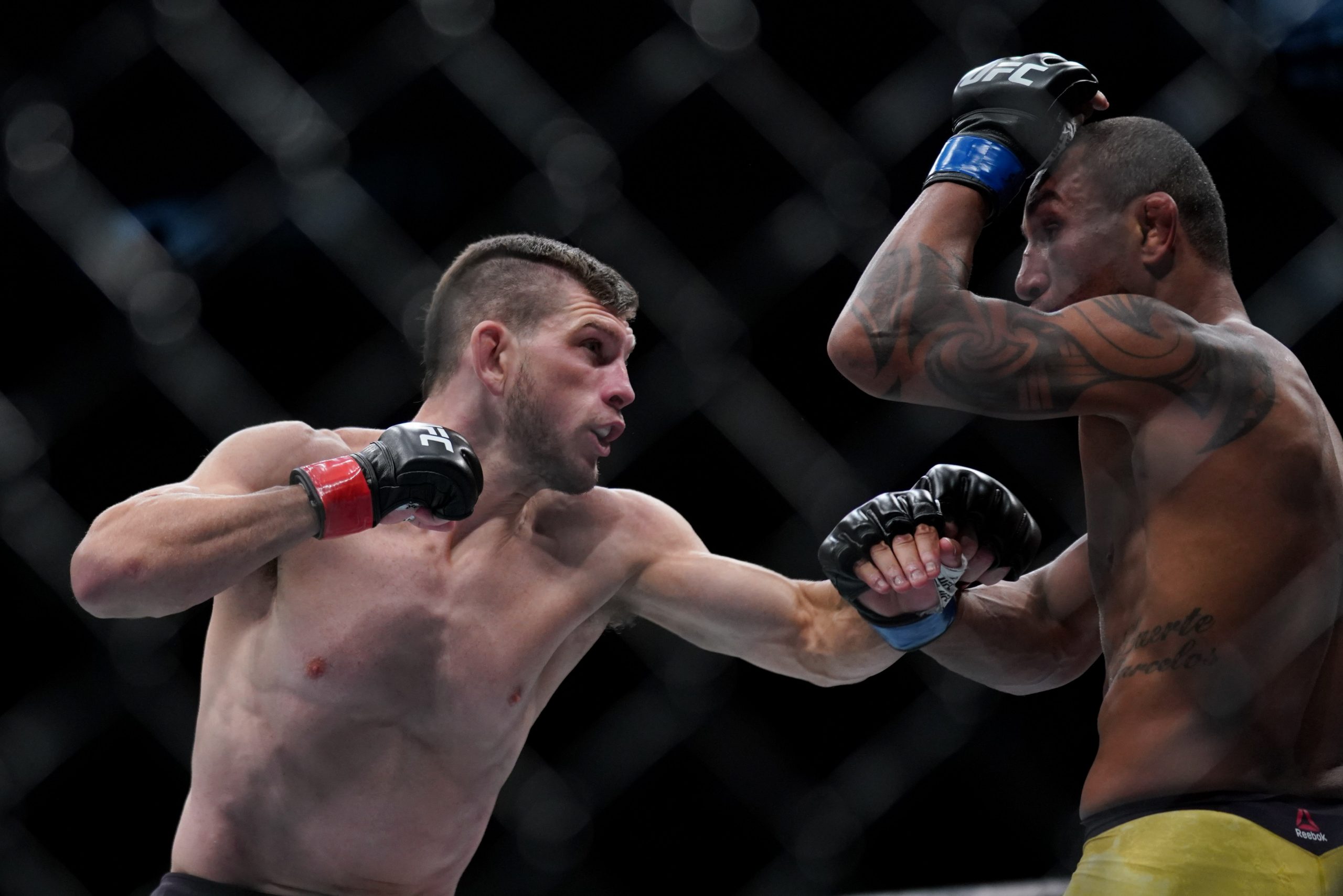 MMA: UFC Fight Night-Boise-Holobaugh vs Barcelos