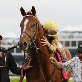 Horse Racing: 145th Kentucky Derby