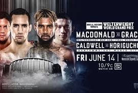 bellator 222