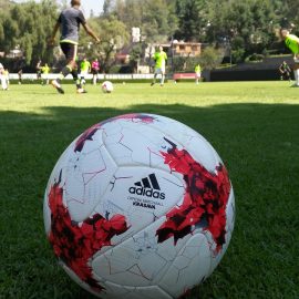 adidas soccer ball