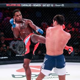 Lorenz Larkin