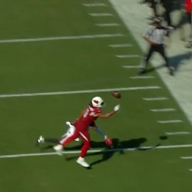 larry fitzgerald catch