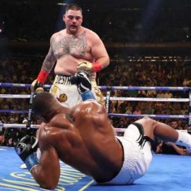 Anthony Joshua v Andy Ruiz Jr.