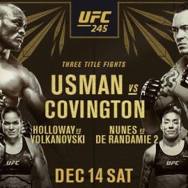 ufc-245-event-poster