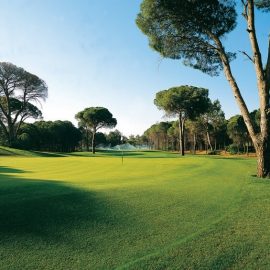 cornelia-faldo-course-1a-