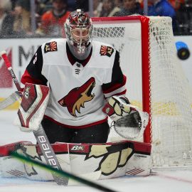 NHL: Arizona Coyotes at Anaheim Ducks