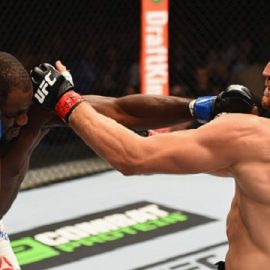 UFC 191: Blachowicz v Anderson