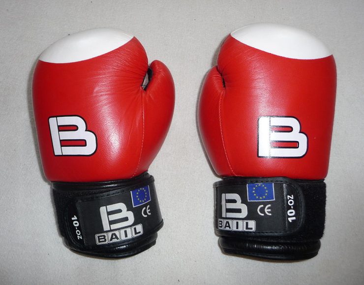 Boxing gloves