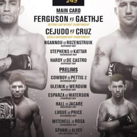 ufc-249-poster