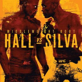 ufc-Hall_vs._Silva