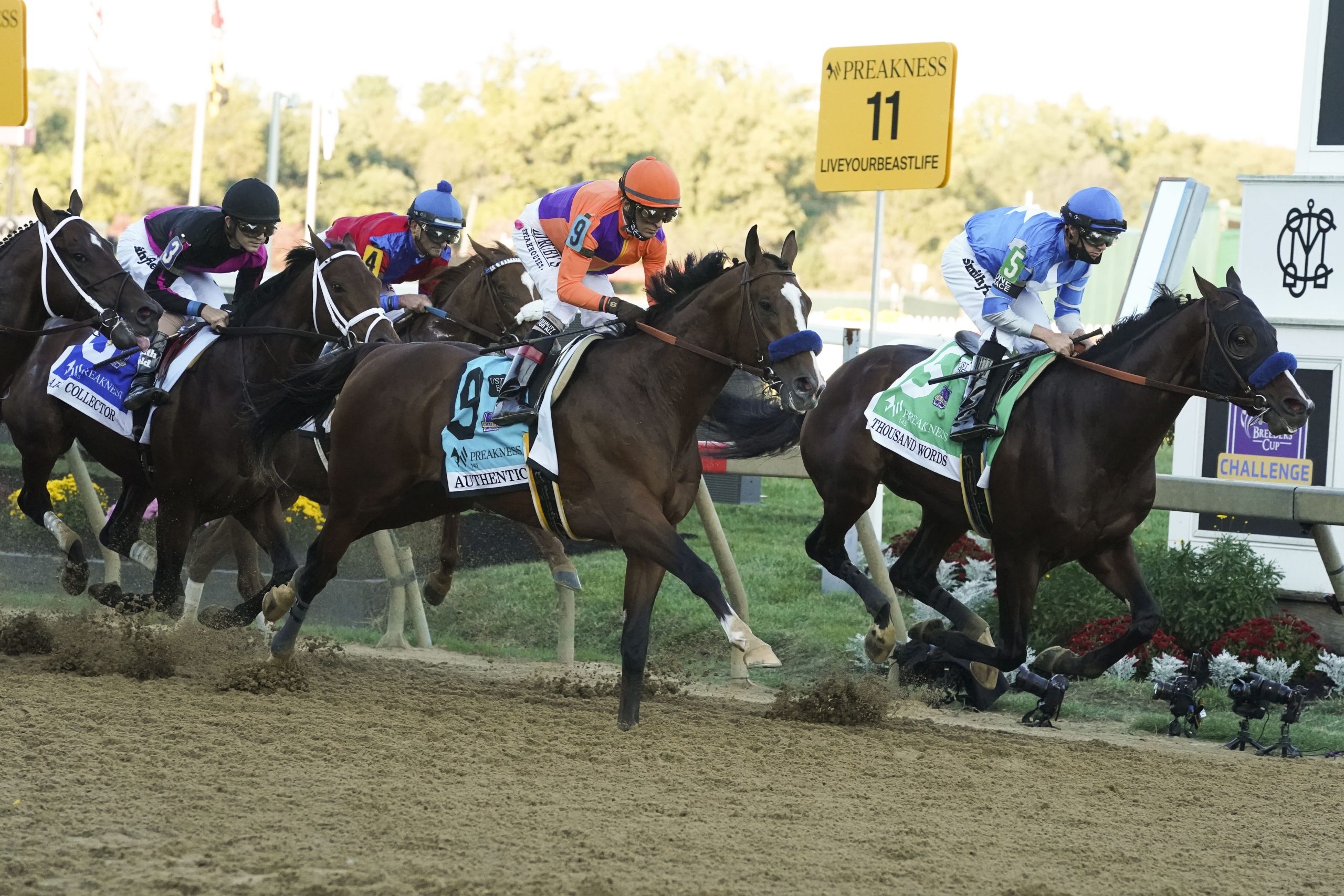 Horse Racing: 145th Preakness Stakes