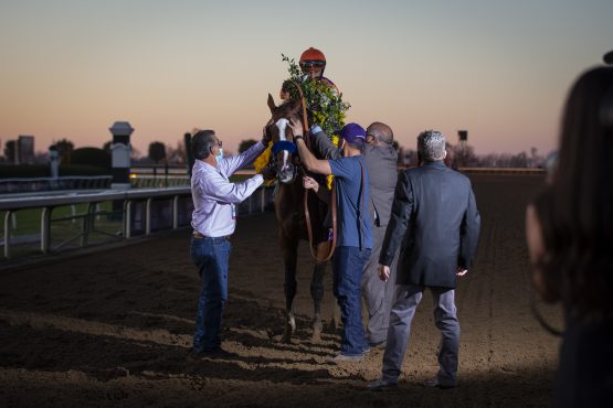 Horse Racing: 37th Breeders Cup World Championship