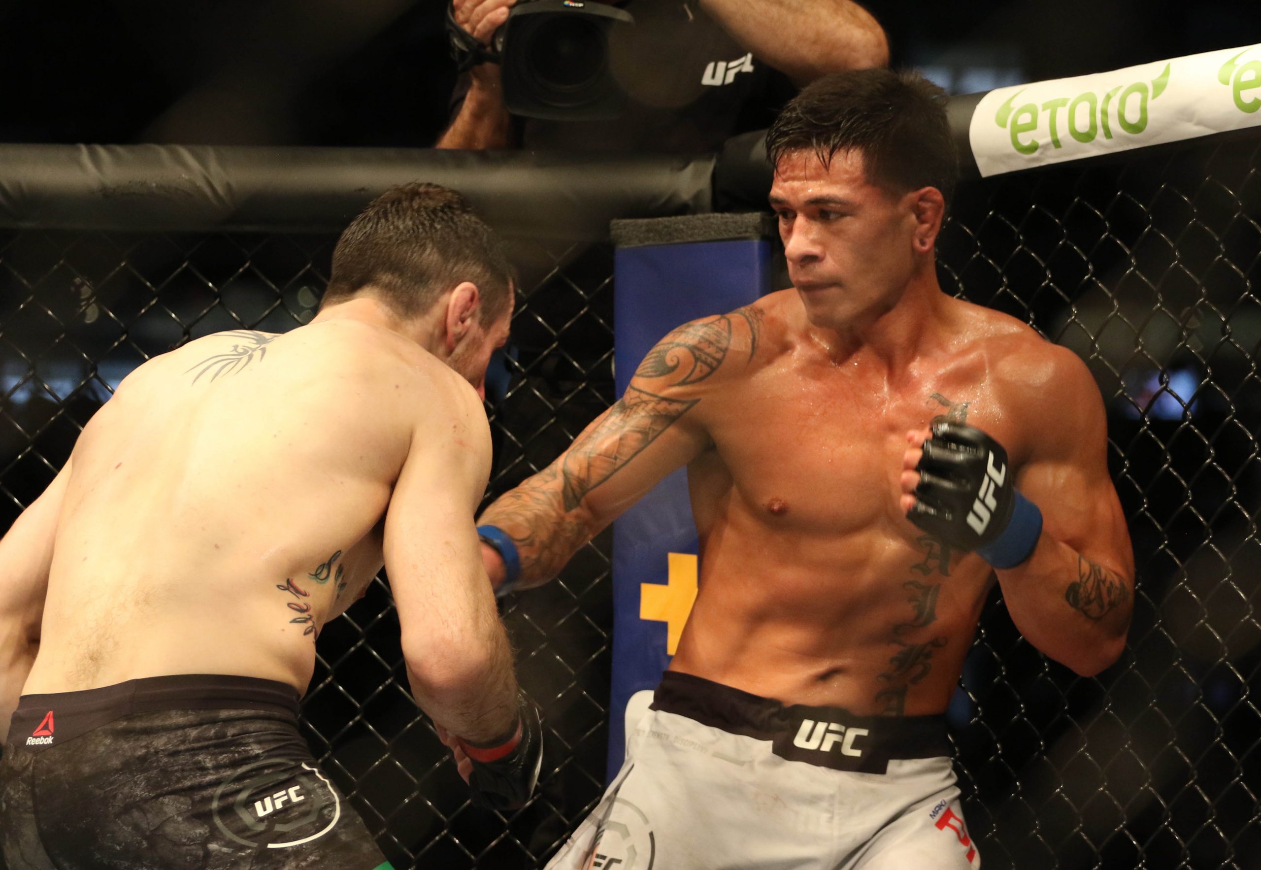 MMA: UFC 243-Potter vs Pitolo