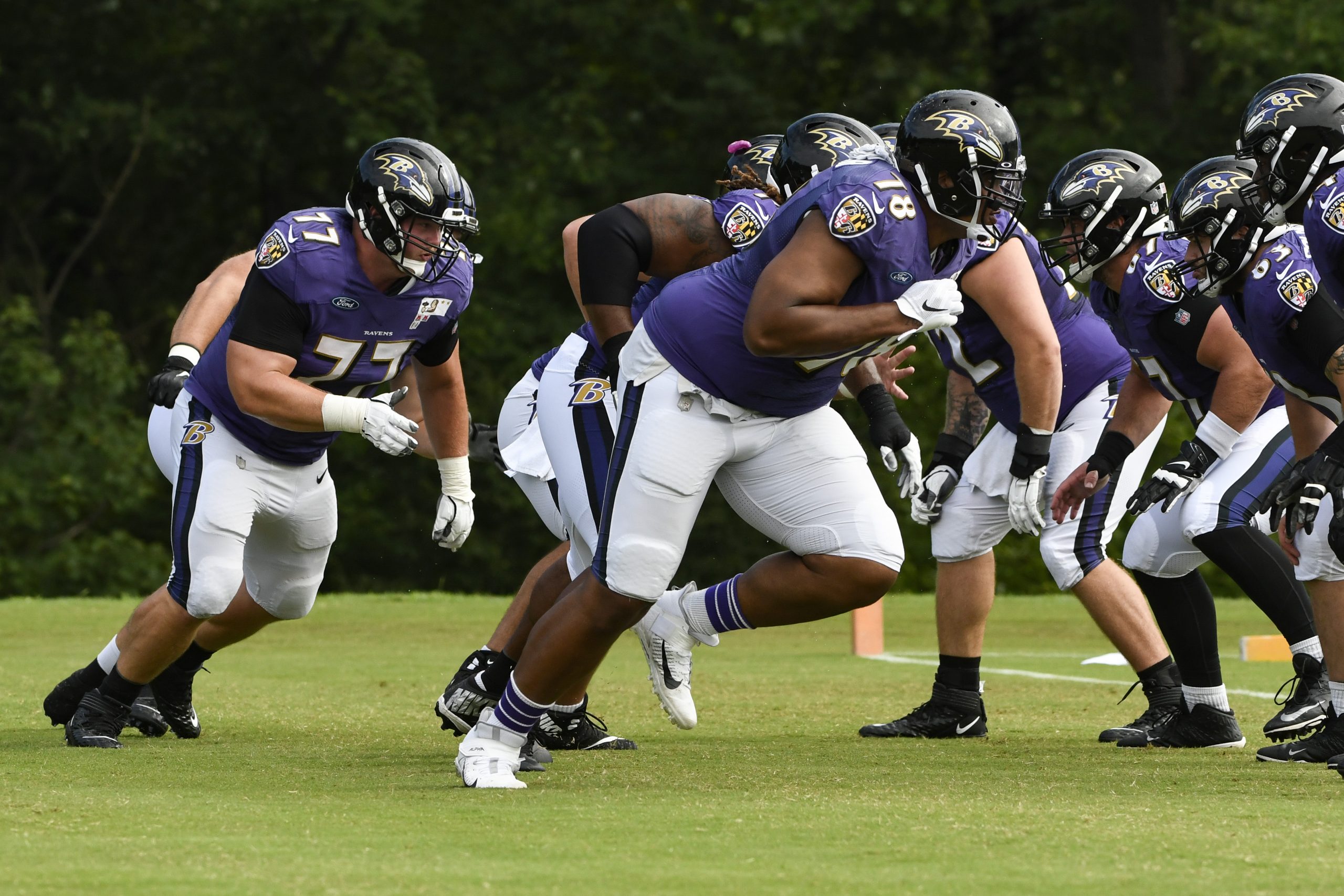 NFL: Baltimore Ravens-Training Camp