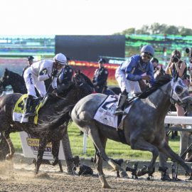 How to Bet on Belmont Stakes 2022 | Alaska Horse Racing Betting Sites