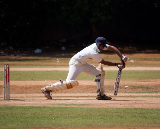 cricket_cricketer_batting_defensive_stumps_player_sports_game-1121818