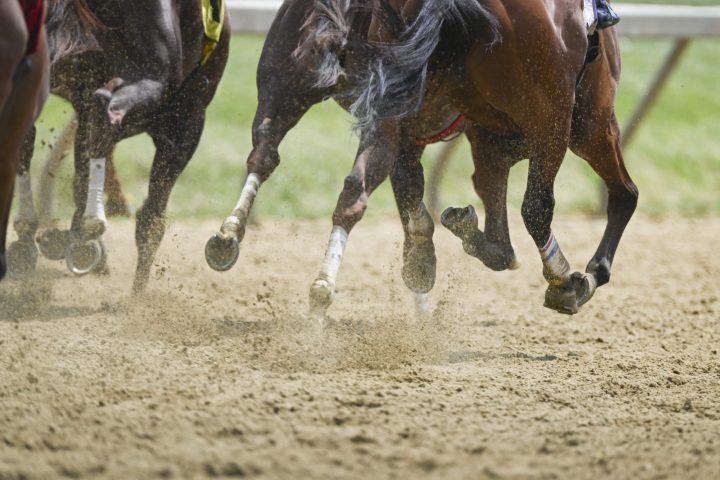 How to Bet on Preakness 2022 | South Carolina Sports Betting Sites
