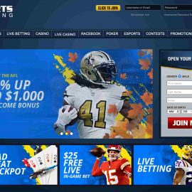 NFL Futures Odds Explained – Guide How To Win NFL Futures Bets