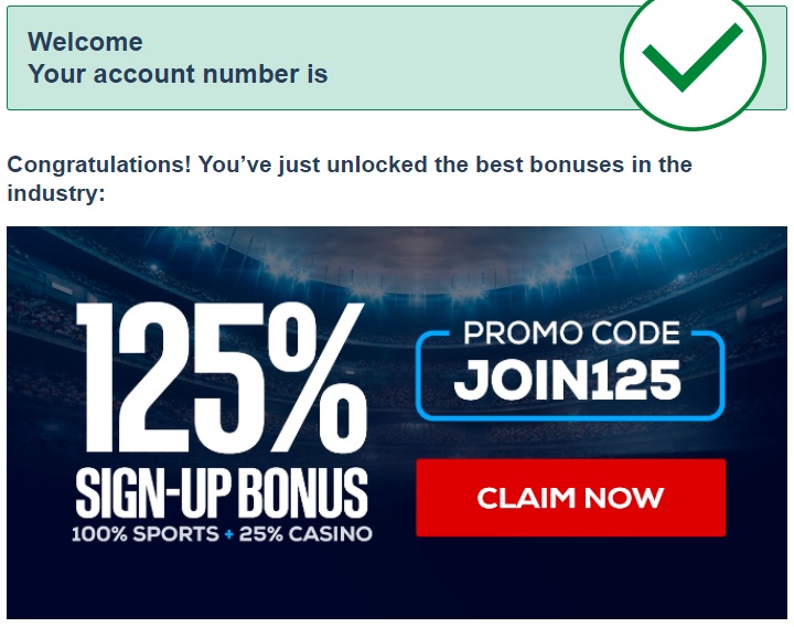 BetUS Offers Great Super Bowl Betting Promotions