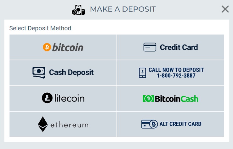 An example of payment methods at BetUS