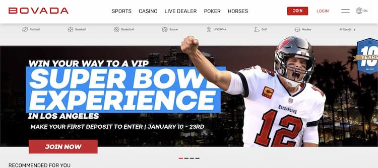 Bovada is a great site for Super Bowl betting.