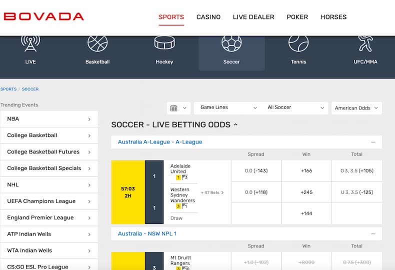 Bovada soccer betting lines