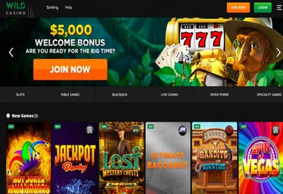 Wild Casino - Arkansas gambling site with lots of promotions for returning customers