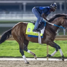 NY Times Preakness Picks